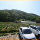 신원동 청룡텃밭 이미지