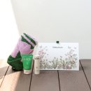 에이치엠스킨 이미지