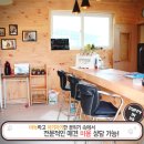 퍼피 인 어스 이미지