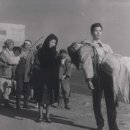 꿈속에그린l 이미지