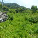 태백로-2 이미지