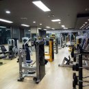 핏불휘트니스 이미지