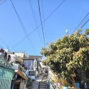 서산동 연희네 슈퍼 주변 | 785장) 연희네슈퍼, 서산동시화골목길 <목포 여행기 1-3편>