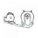 오키드블룸 네이버블로그