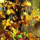 대방스포츠센타 이미지