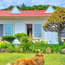 가천민박 이미지