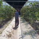 땅골농장 이미지