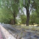 능수버들공원 이미지