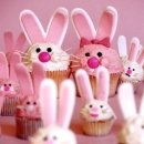 우리식품 이미지