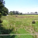 표선면-1 이미지