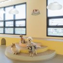 포우 파라다이스 이미지