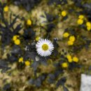 김원삼행정사사무실 이미지