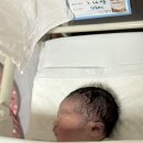 그린나래산부인과의원 | 진오비산부인과 제왕절개 출산 후기 3탄(4박 5일 입원과 모자동실 후기 + 준비물)