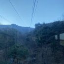 다도반점 이미지