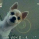 복 네이버블로그
