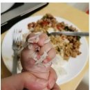 밥도둑 Daum카페