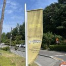 청강약품 | [광주 전시회]비엔날레 네덜란드 파빌리온 멸종전쟁:광주 시립미술관 전시회 광주 6월 전시회 실내...