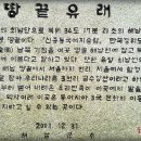 다도해 횟집 이미지