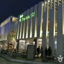 101 이미지