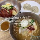 부산밀면 | 부산 서면 맛집 내돈내산 본가밀면 부산밀면 후기