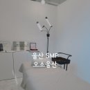 오소울산 이미지