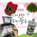 이끼공예 | [취미활동 추천] 펀치니들, 이끼테라리움, 인스타툰 드로잉 후기