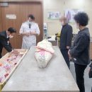 엄숙한가족들 네이버블로그