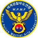 림핏복싱 이미지