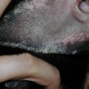 하임동물의료센터 이미지