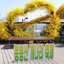 응봉개나리어린이공원 이미지