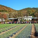 김인성농장 이미지