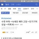 수면 부족→뇌세포 해마 고장→단기기억 상실→치매 이미지