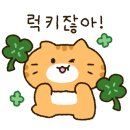 펫엔글라이더 대전점 이미지