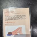드림중기 | [임신] 29w3d 정기검진일 강동드림+아산병원 진료후기 (후기진입, 역아, 빈혈, 다이어트, 증상)