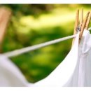 장미세탁 이미지