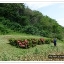 산소농장 이미지