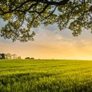 정서농장 이미지