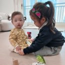 배감 | 2024년 경기도 가정보육 어린이 건강과일 공급사업 1차 배송 후기 | 배 감 키위 샤인머스캣