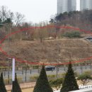 수원-이의-이의-02 이미지