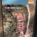 하너미캠핑장 이미지
