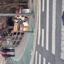 선경사슴 이미지