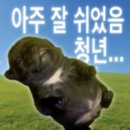 효진반점 | 욕이 나쁜 걸까 욕 나오게 만든 네가 나쁜 걸까