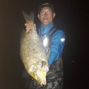 남원읍-75 이미지