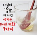 2024 04 07 꿀물의 효능 이미지