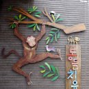 동물치유쉼터 이미지