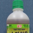 철인벌초대장 이미지