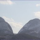청실(685) Daum카페