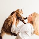 목감동물병원 이미지