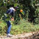 팔월펜션 이미지