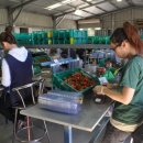 정한농장 이미지